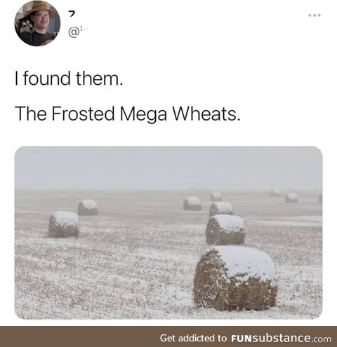 Frosted Mega-Wheats