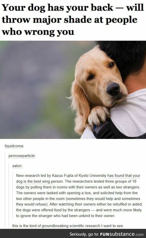 Your dog has your back