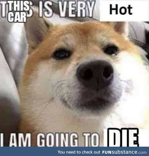 No dog don't die your too hot haha