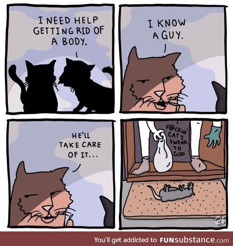 Cats. Am I right?