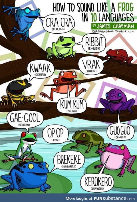 Froggo Fun #355 - Mr. Croakwide