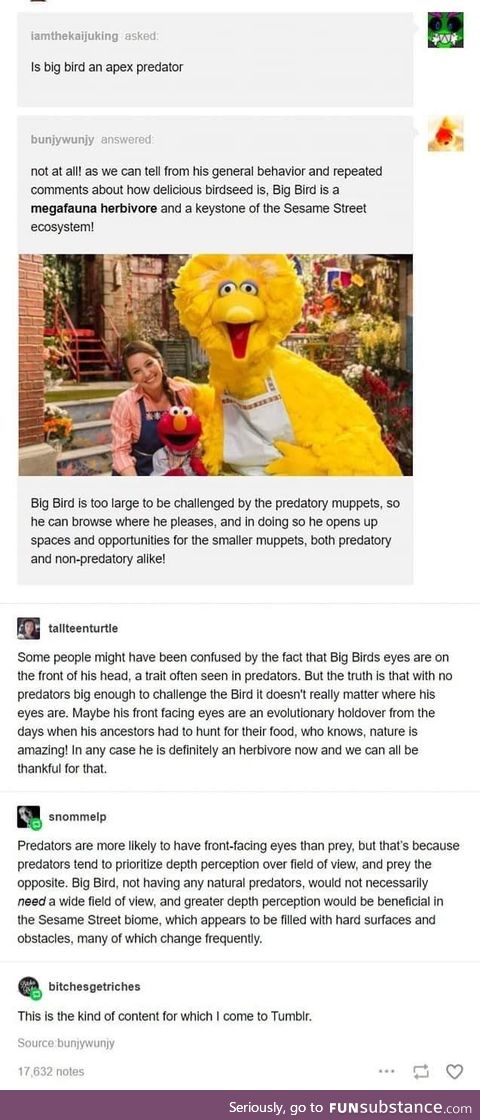 Big bird - a biological assessment