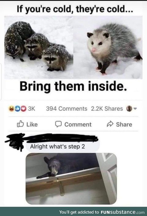 Bear with me