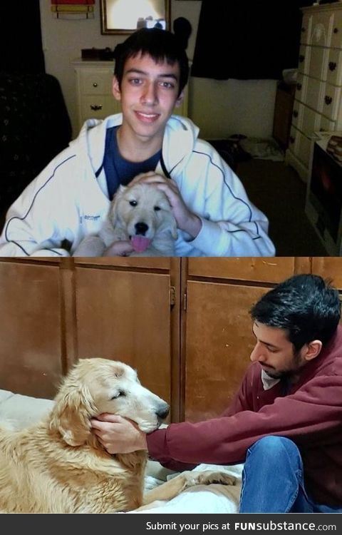 My good boy crossed the rainbow bridge today. We spent almost 13 years together