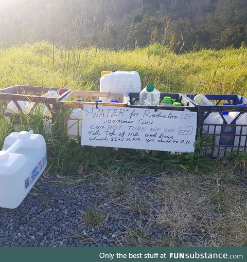 Saw this halfway up a big hill in rural NSW Australia