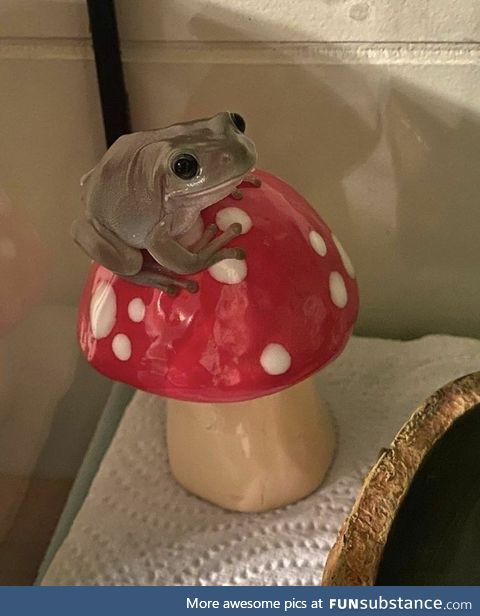 Has he toad you about his insurance policies?
