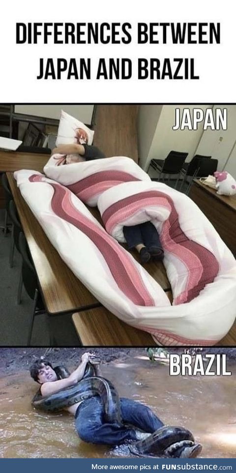 I f*cking hate Japan