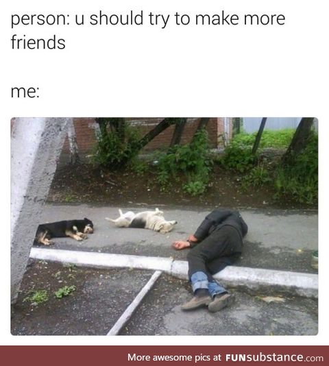 You should make more friends