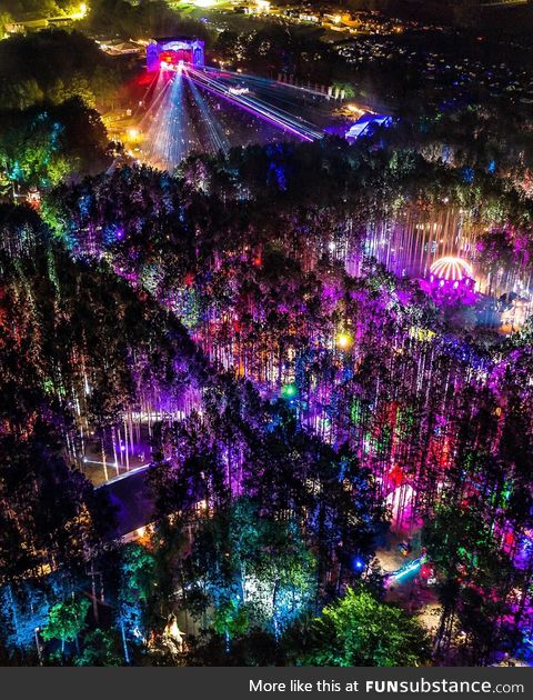 Electric forest festival 2019