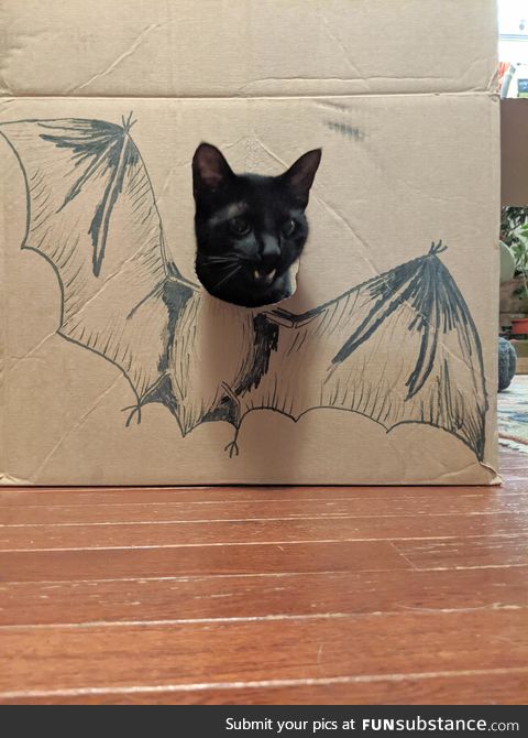 I am the night