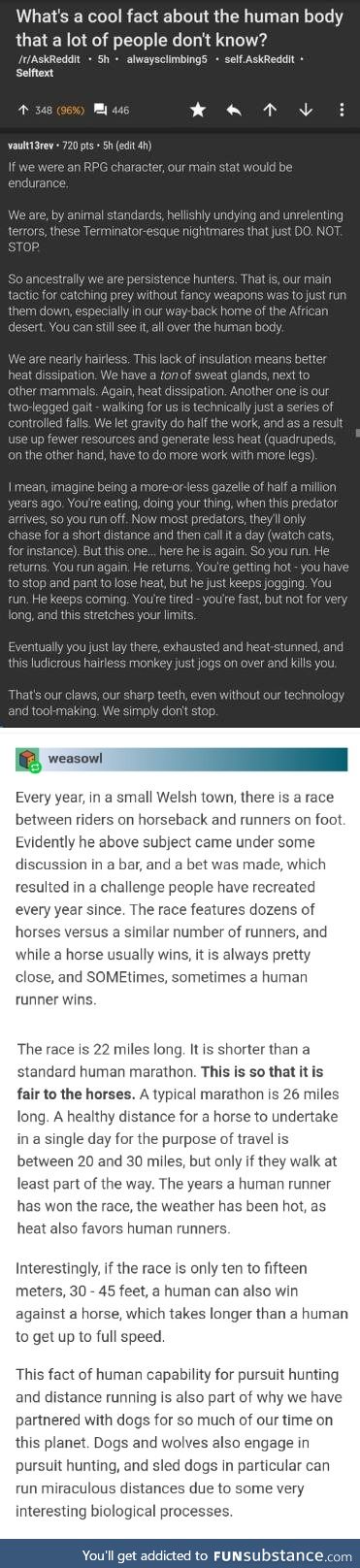 When we say we would walk 500 miles and then 500 more, it's not a promise - it's a threat