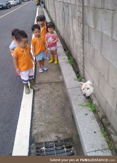 Hey Little humans, the lockdown is over?