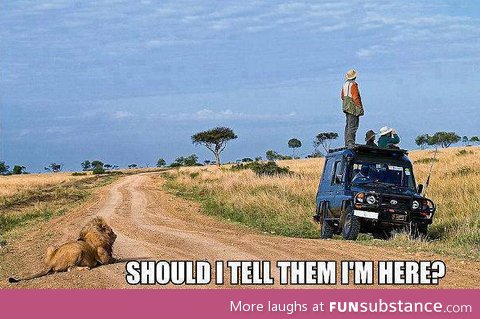 Human u silly