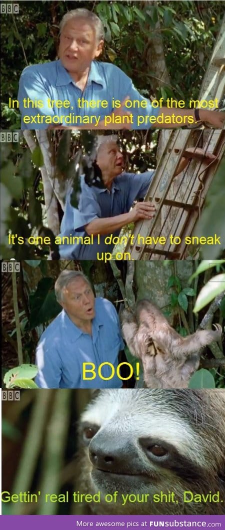 Sir David Attenborough finds a sloth