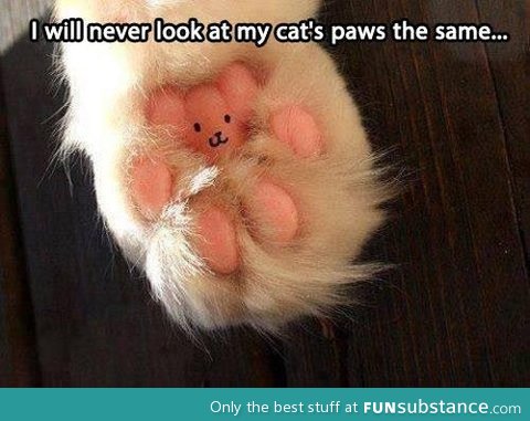 Cat's Paws!