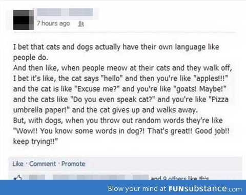 Cats are like, "she doesn't even go here!!"