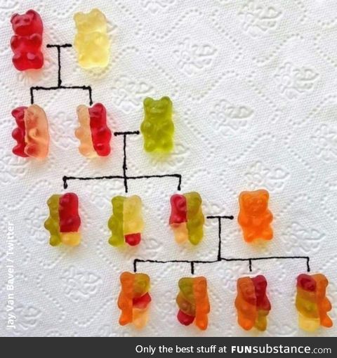 DNA for gummies