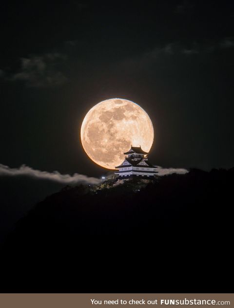 Moon over the castle. Gifu Castle, Japan