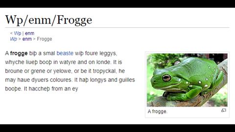 @happy_frog