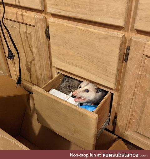 Guess this is her drawer now