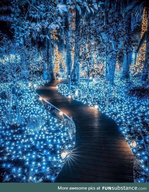 Fairy walk in Japan
