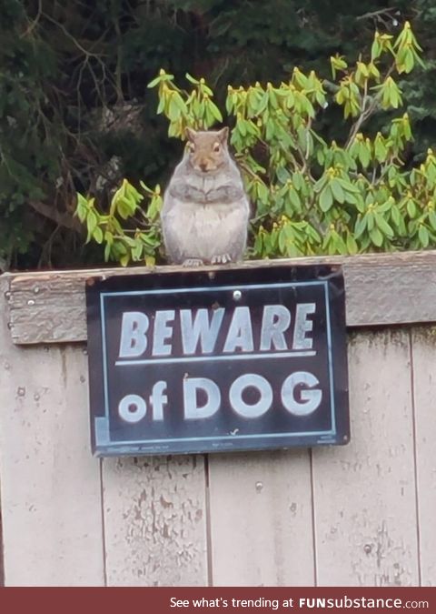 Mom saw this chonker on a walk