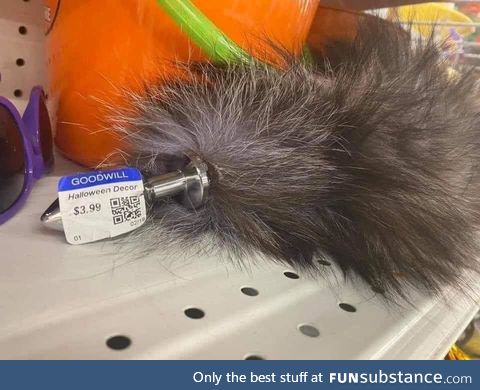 Cheap feather duster at Goodwill