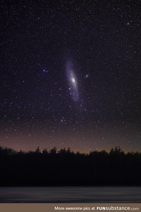 The Andromeda galaxy over a forest