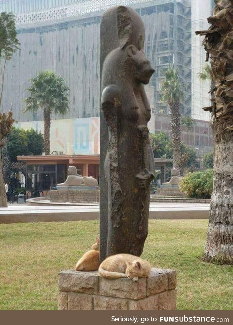 Cats surrounding the Egyptian Goddess Sekhmet Statue, who is known for her feline