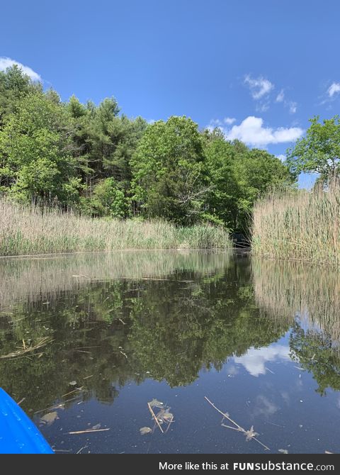 Absolute clear reflection in the water when kayaking