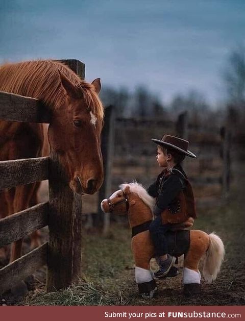 Little cowboy