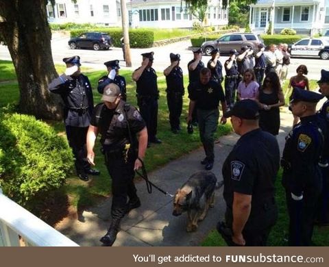 Police salute their K-9 companion as he walks to be put down