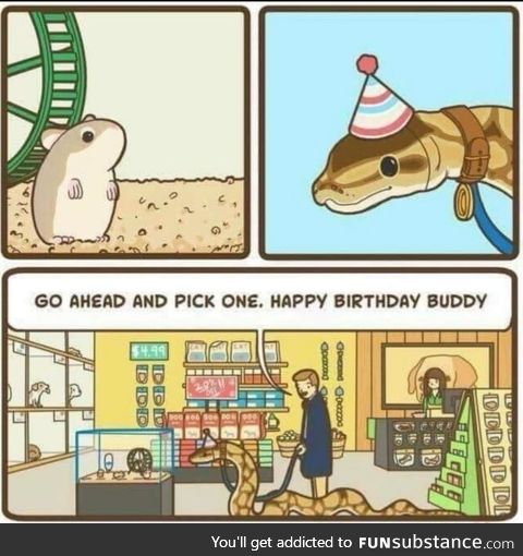 Snakes can be good boys too and deserve birthday presents