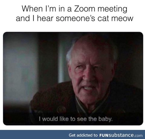 Can somebody please show me their cat :'(