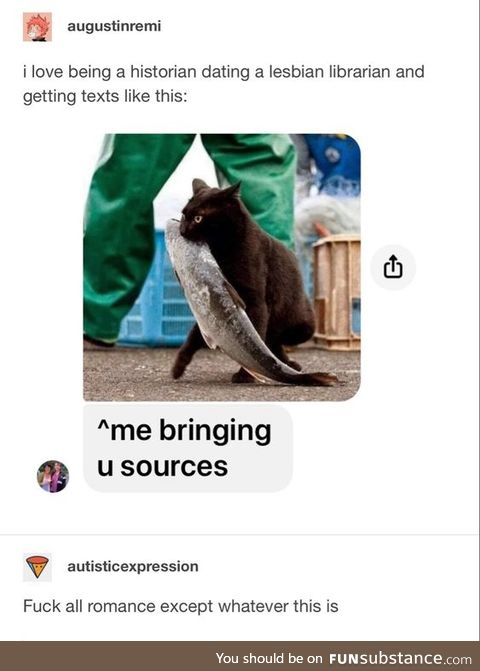I don't know if I want the cat or the sources, but I like both