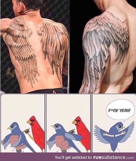Meanwhile in birdland