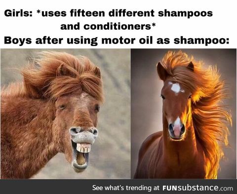 I am horse