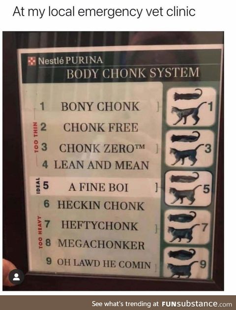 Rate your chonk
