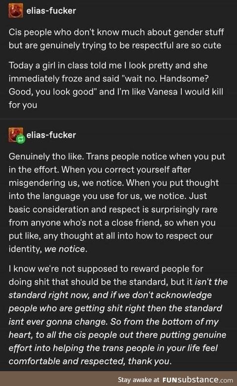 The kindness of using proper pronouns.