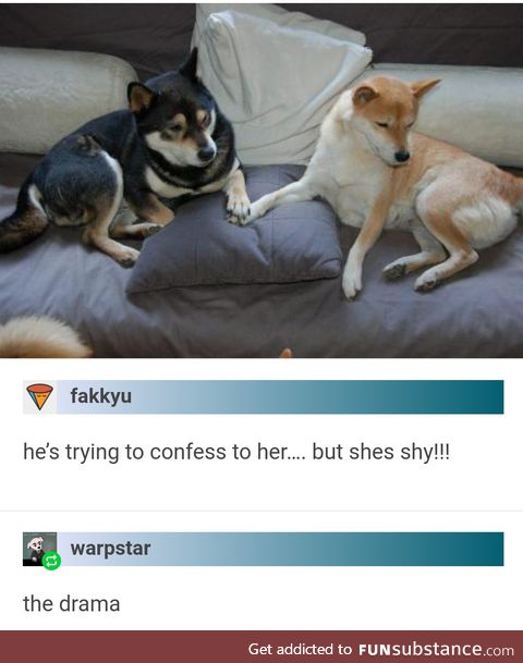 He wants to confess but she's shy