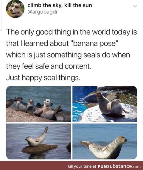 Banana pose