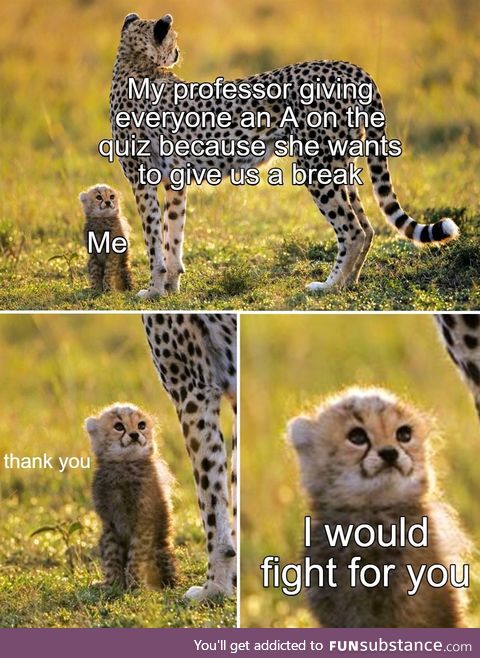 Shoutout to my history professor