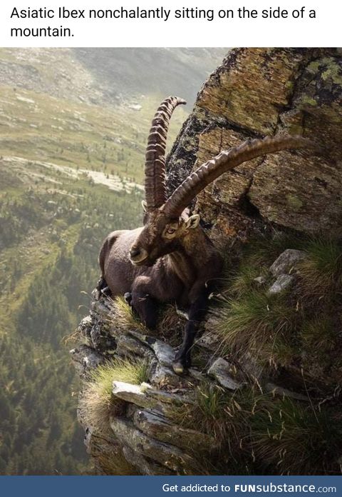 Greatest Of All Time