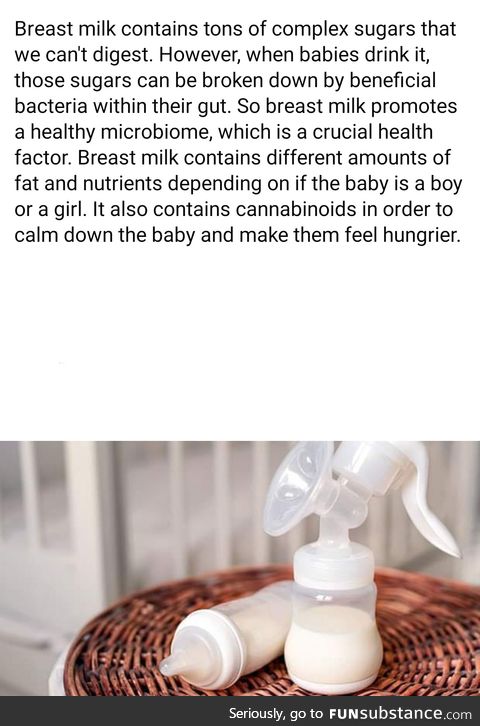 Breast milk contains cannabinoids
