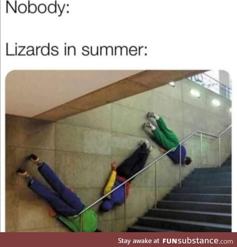 Lol it's true though