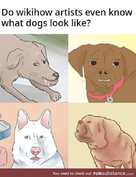 Have they ever seen a dog?