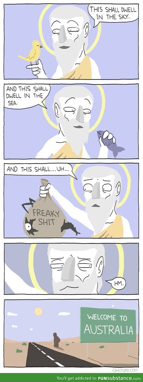 This shall...