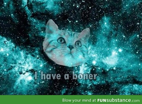 Boyfriend just sent me this