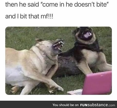 All pit bulls, german shepherds, Rottweilers, and chihuahuas