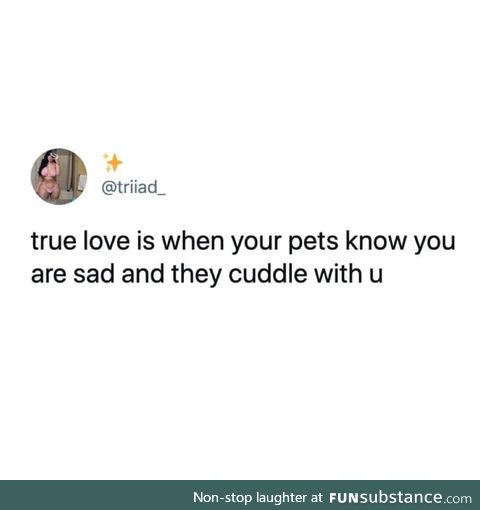 Sweet